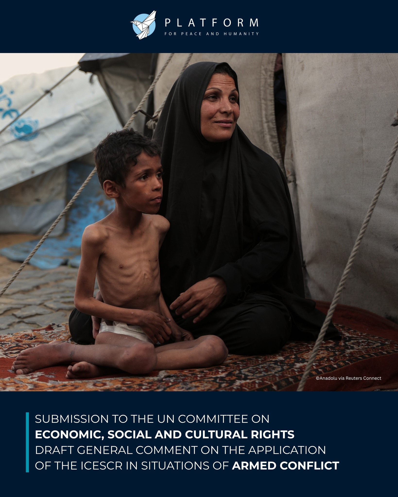 Platform for Peace and Humanity submission to the UN Committee on Economic, Social and Cultural Rights